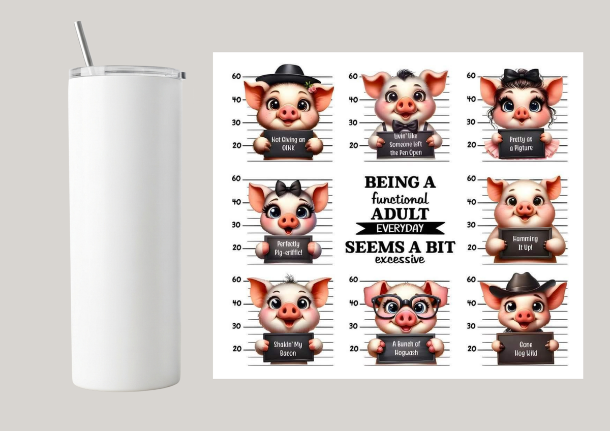 20oz Skinny Tumbler - Being A Functional Adult Everyday T043
